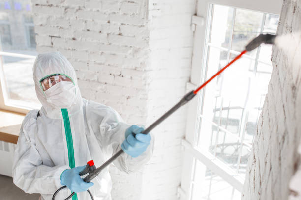 Mold Odor Removal Services in Glide, OR