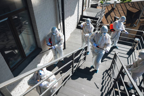 Best Industrial Mold Remediation  in Glide, OR