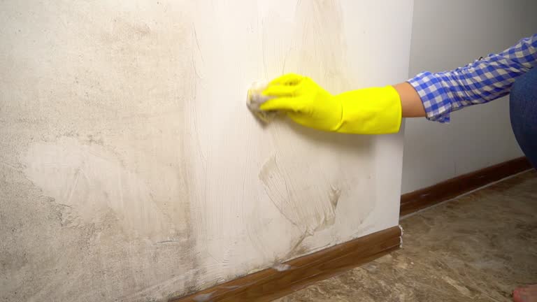 Best HVAC Mold Inspection and Cleaning  in Glide, OR
