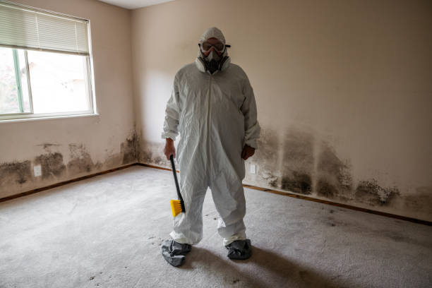 Best Post-Construction Mold Inspection  in Glide, OR